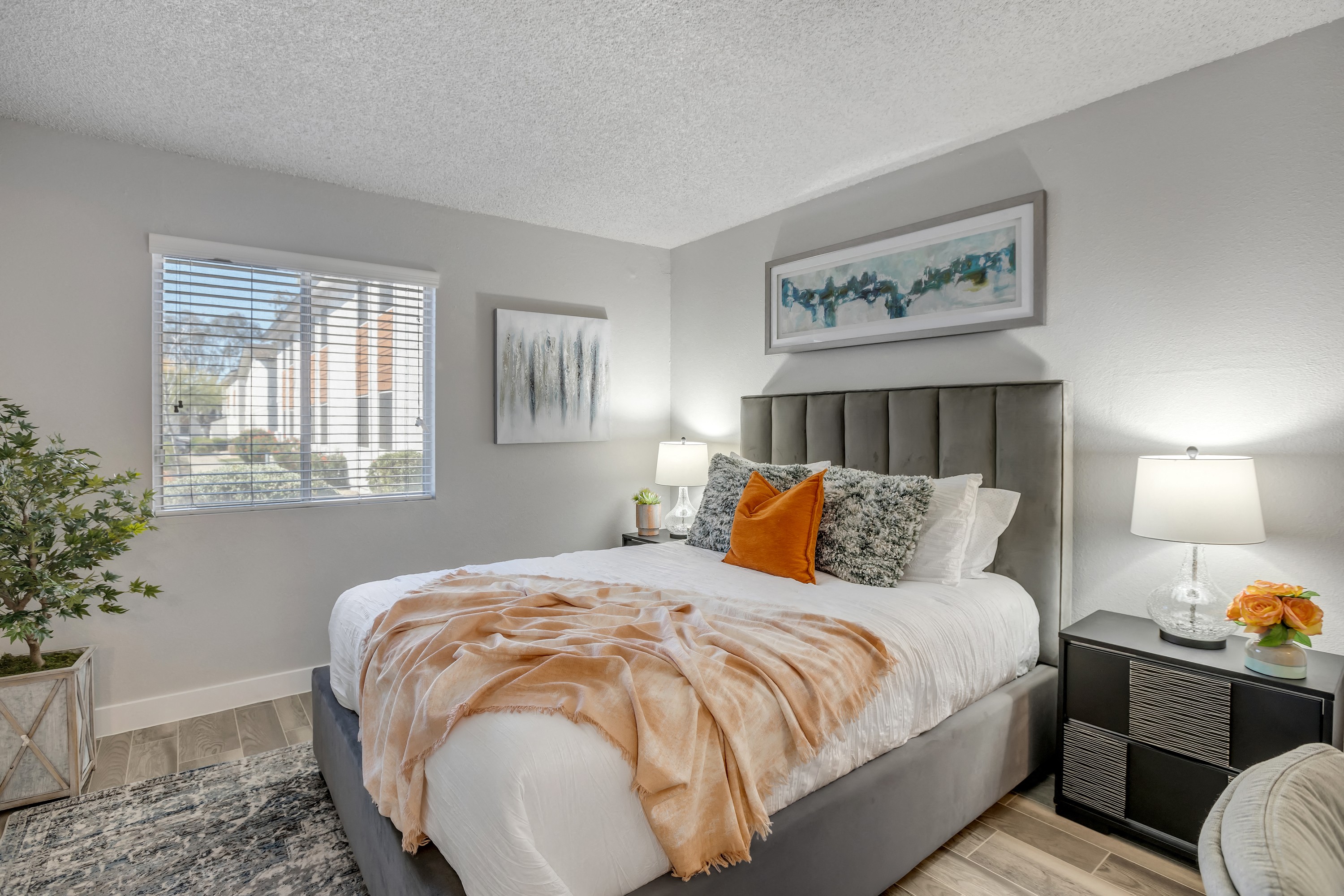 The Mod Apartments photo 3